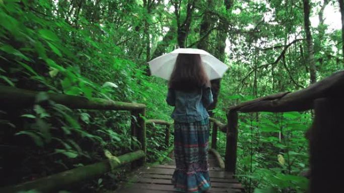 带伞的女孩在雨林中行走