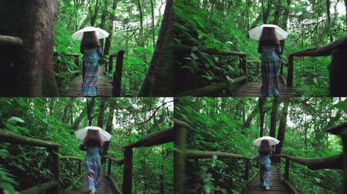 带伞的女孩在雨林中行走