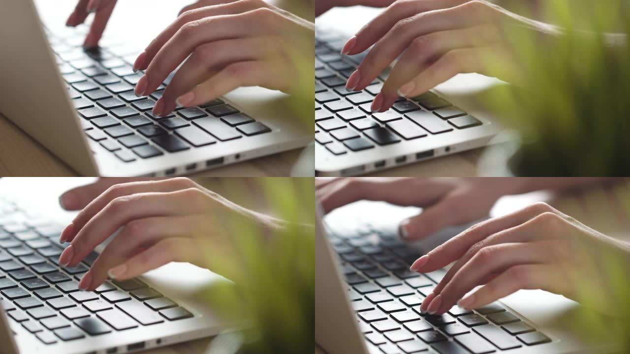 女人手编码html和编程屏幕笔记本电脑，网络，开发者。