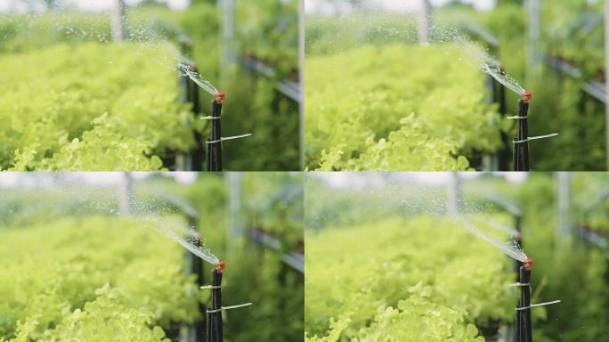 草坪上的灌溉设备喷灌大棚蔬菜浇水灌溉系统