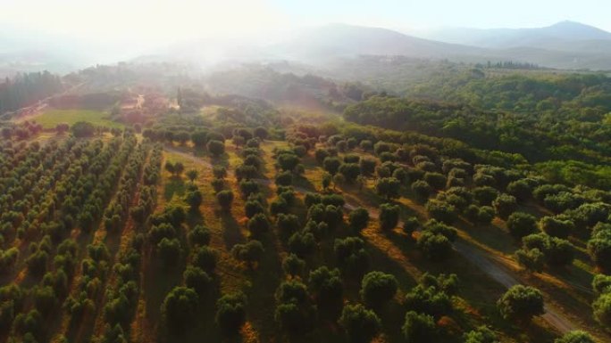 空中电影无人机可以看到有山和森林的乡村。雾蒙蒙的阳光明媚的早晨，在一个几乎没有房子的乡村绿地。顶视图