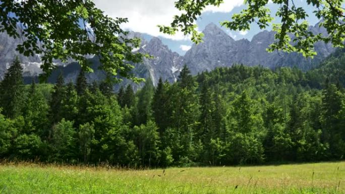 斯洛文尼亚特里格拉夫国家公园。朱利安阿尔卑斯山之前的绿色草地和常绿森林达到了蓝色多云的天空。Stea