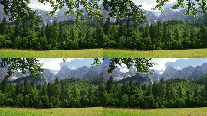 斯洛文尼亚特里格拉夫国家公园。朱利安阿尔卑斯山之前的绿色草地和常绿森林达到了蓝色多云的天空。Stea