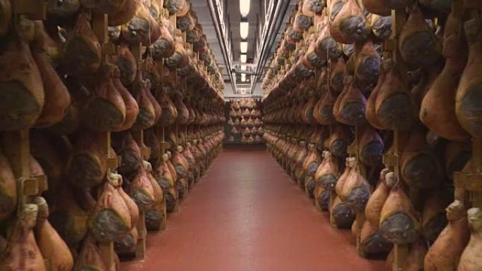 在火腿工厂中，根据意大利古老的传统，经过各种工艺处理后，可以悬挂火腿调味。