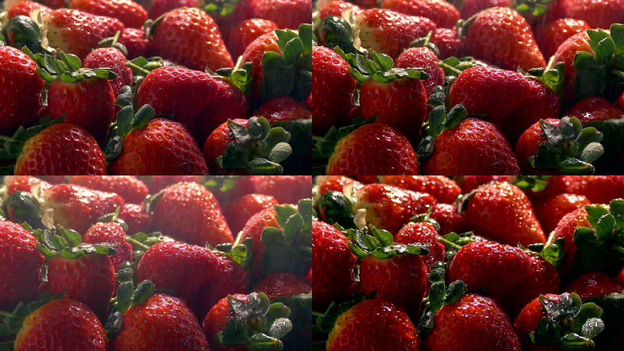 精细喷雾使草莓保持新鲜