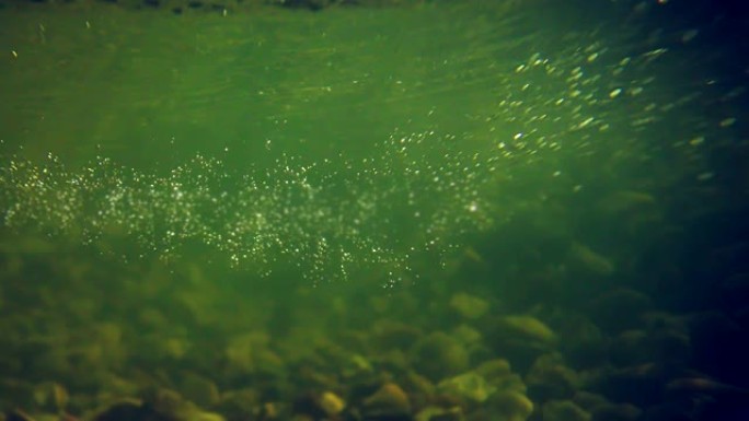 水下风景。绿色的水和气泡