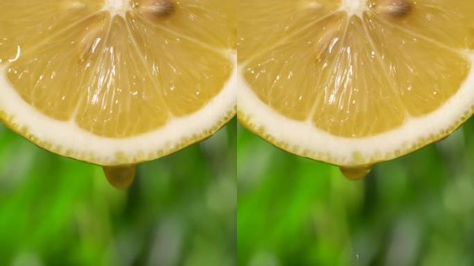 垂直和实时: 绿色bokeh上柠檬片的液体滴