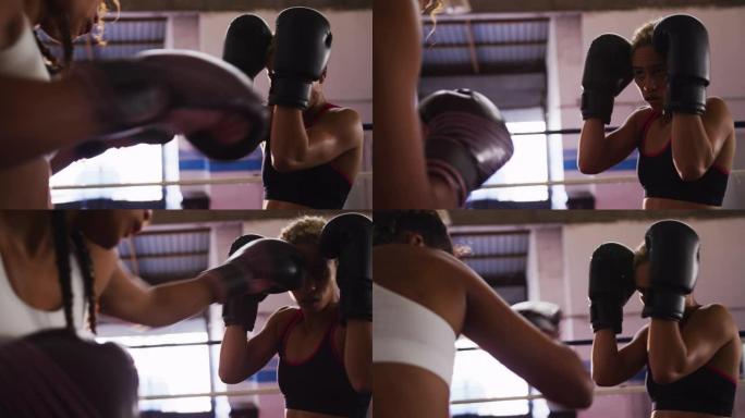 两名混血女子在拳击场训练