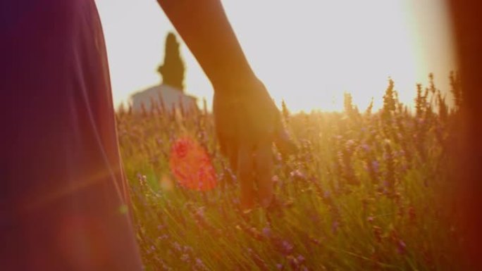洛杉矶女子在日落时穿过薰衣草的田野