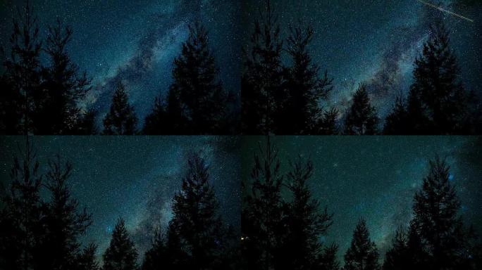夜间松树上方的银河