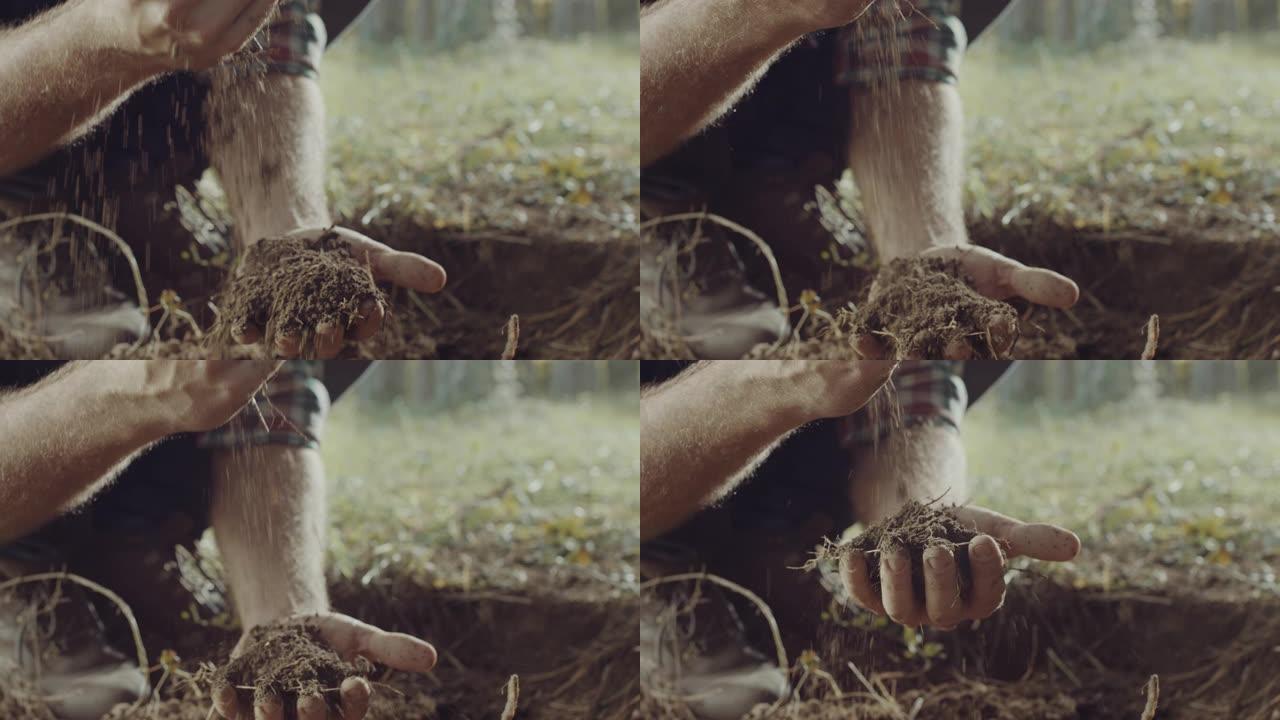 人类手握土壤检测土壤环境松软度
