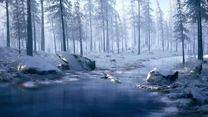 摄像机在冰雪覆盖的森林中飞过冰冻的河流