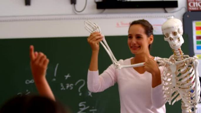 高加索女教师在教室4k解释人体骨骼模型的前视图