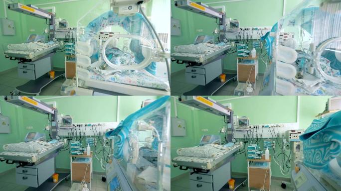 新生婴儿在医院的孵化器中。