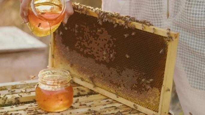 金色蜂蜜倒入装有蜜蜂和蜂箱的罐子中