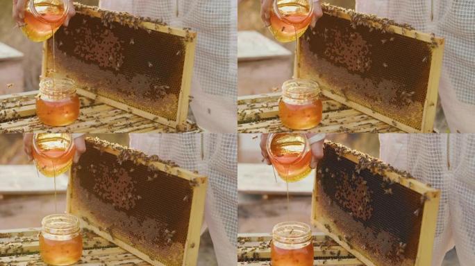 金色蜂蜜倒入装有蜜蜂和蜂箱的罐子中