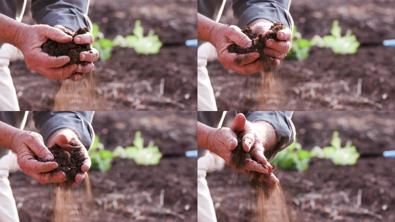 农民种植蔬菜前双手检查土壤质量的特写镜头