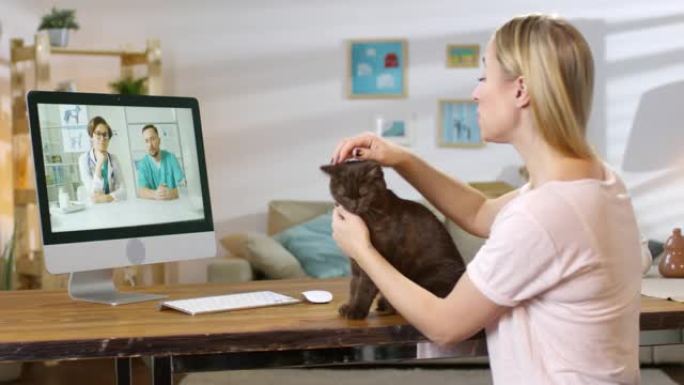 在线兽医通过视频通话向猫主人提供建议