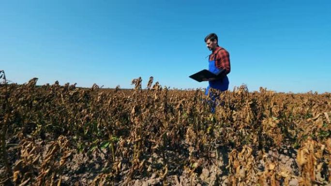 一位带笔记本电脑的农艺师在庄稼的田地上行走。农田里的农民。