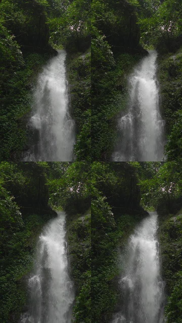 雨林中瀑布的垂直和慢动作。