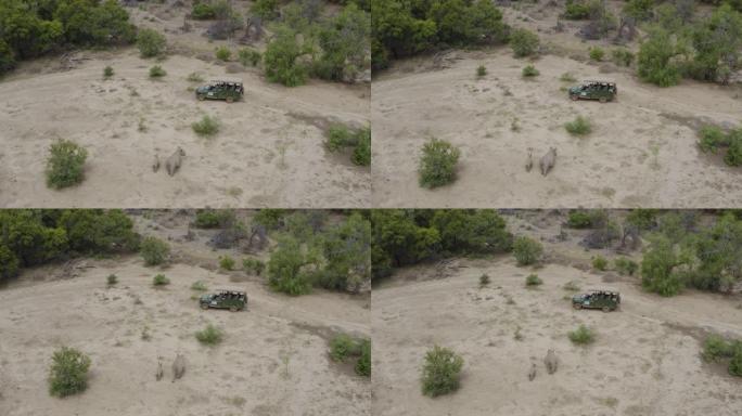 在野生动物园4x4游戏车中观看游客在自然保护区放牧的白犀牛的4k鸟瞰图