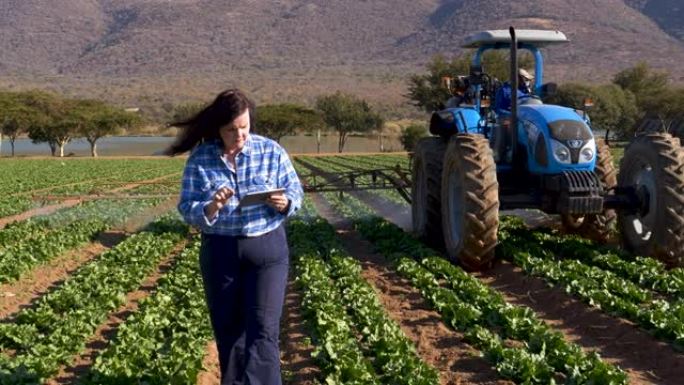 在大型蔬菜农场中，使用数字平板电脑并监视拖拉机在农作物上喷洒农药的女农民的风景