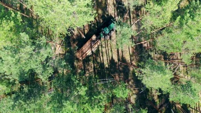 森林砍伐，森林砍伐概念。收割机在砍伐树木的情况下行驶的俯视图