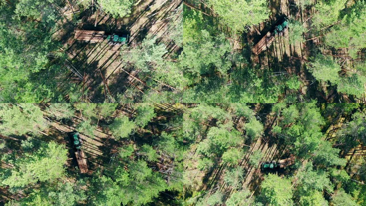 森林砍伐，森林砍伐概念。收割机在砍伐树木的情况下行驶的俯视图