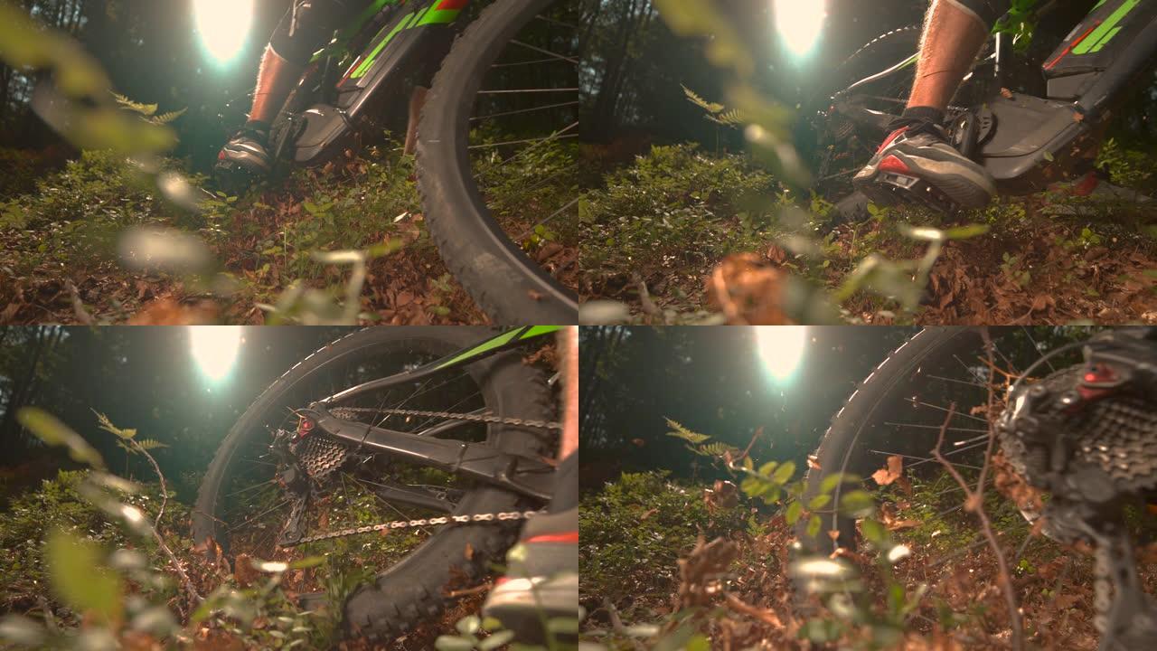 特写: 当骑自行车的人加速驶过相机时，阳光照在森林小径的一部分