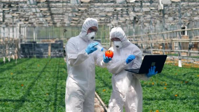 两名科学家正在用化学药品泵送蔬菜