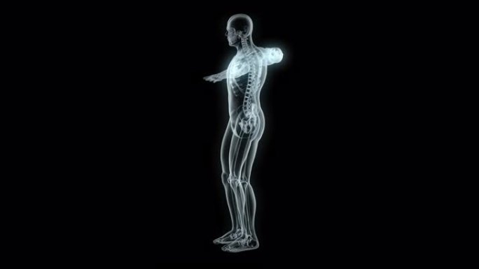 X线男性体模型视频素材CT透视全息