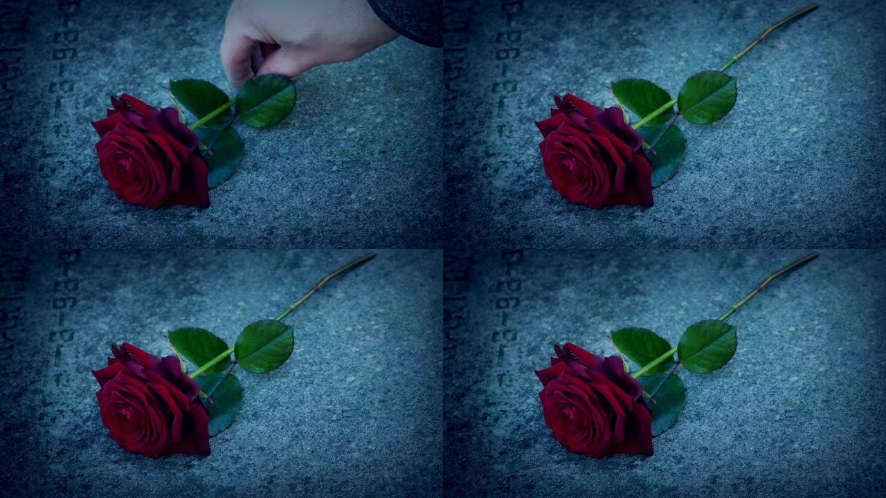 男人在晚上把玫瑰放在坟墓上