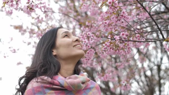 一个美丽的亚洲人在樱花的肖像