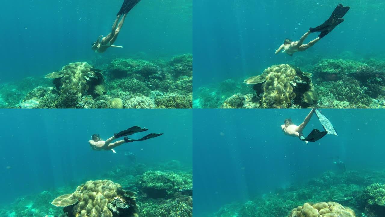 追逐新的冒险潜水女子水下世界美女潜水