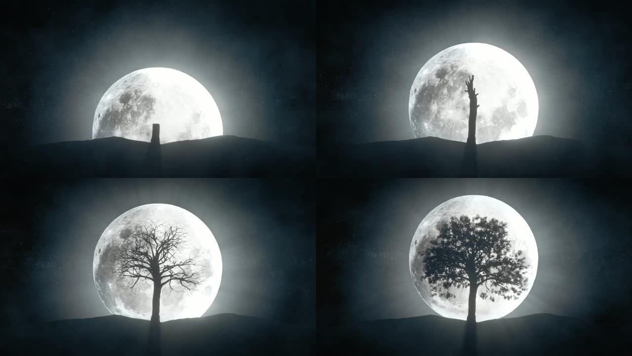 满月背景下生长的树的时间流逝