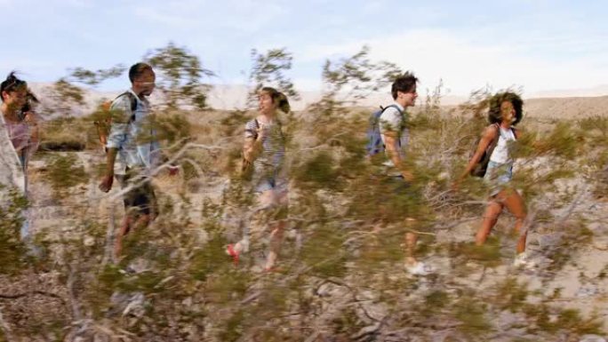 五名年轻人在棕榈泉沙漠徒步旅行，侧视图
