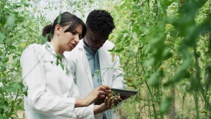 运用他们的植物学技能