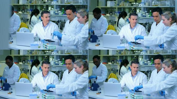 科学家团队相互交流4k