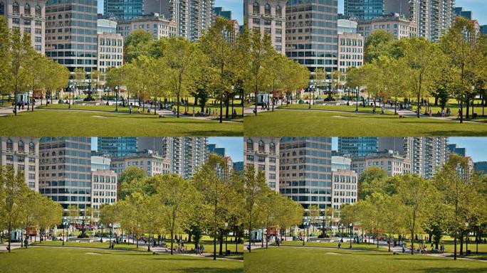 公园。波士顿天际线。自然。公司建筑