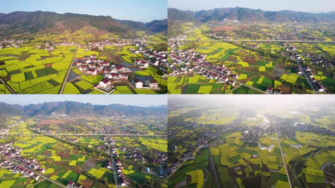 清晨农村高铁油菜花田