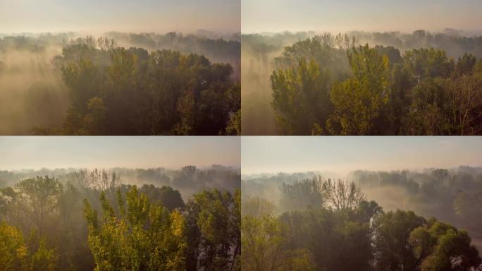 晨雾中的H/L穆尔河