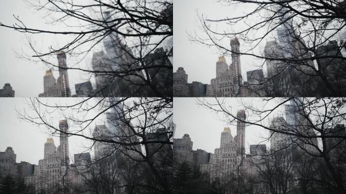纽约市的建筑物和裸露的树木
