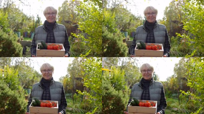 微笑的白人女士拿着板条箱的黄瓜和西红柿