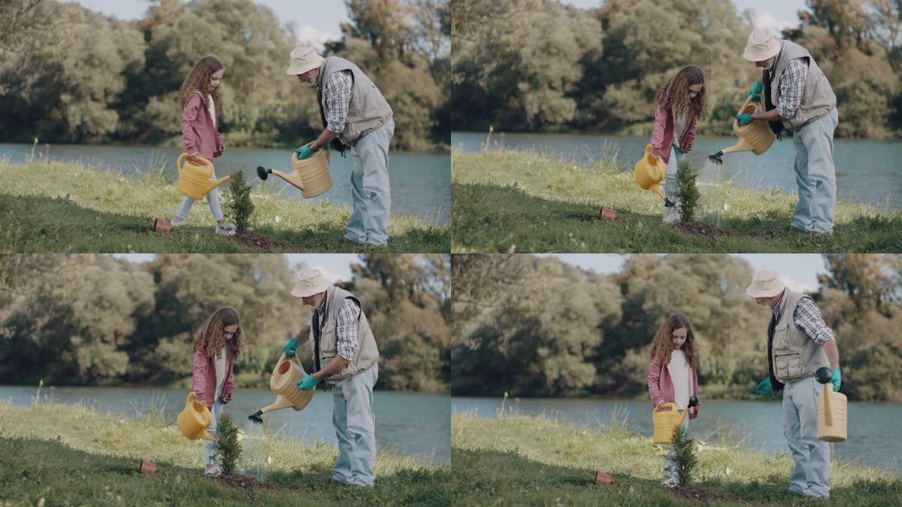 祖父和孙女给植物浇水