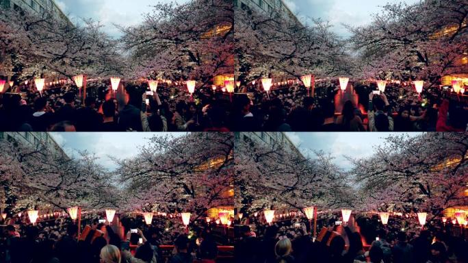 许多游客在目黑川赏樱。日本东京