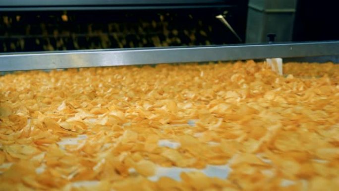 许多油炸薯片在食品生产设施的自动输送机上移动。