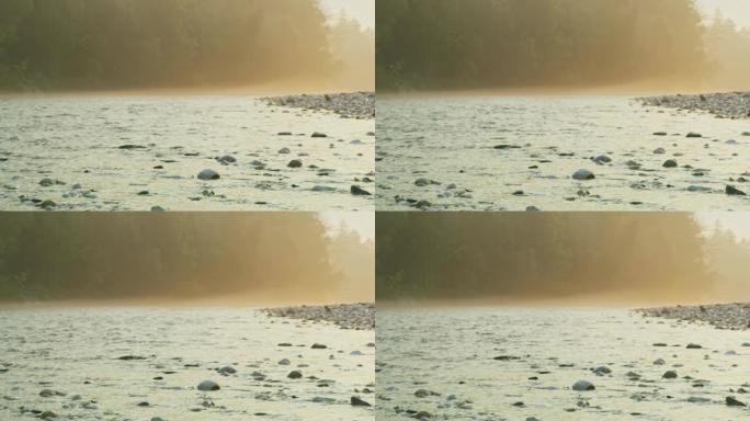 WS薄雾在河上爬行