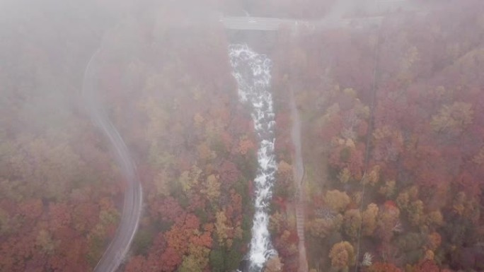 空中射击: 秋天的森林与小溪瀑布