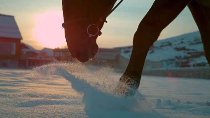 慢动作关闭马走槽冬天刚落的雪在野外