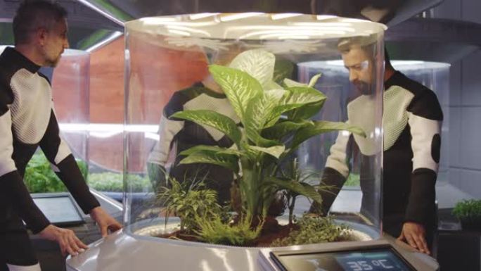 天体生物学家正在研究植物孵化器